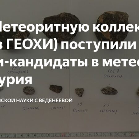 В Метеоритную коллекцию РАН поступили камни, возможно, с Меркурия