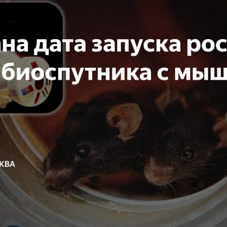 Запуск российского биоспутника «Бион-М» №2 с мышами назначен на 20 августа