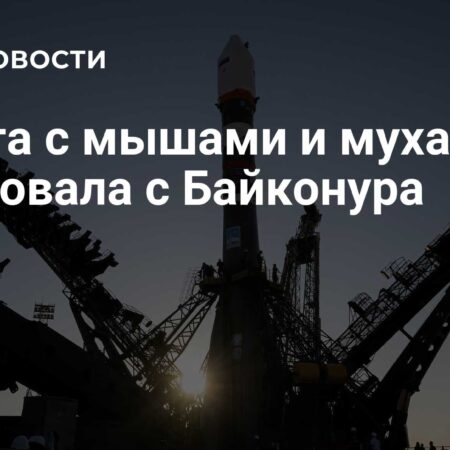 Биоспутник «Бион-М» №2 с мышами и мухами успешно стартовал с Байконура