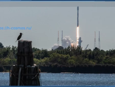 SpaceX запустила 29 спутников Starlink на ракете Falcon 9 с мыса Канаверал