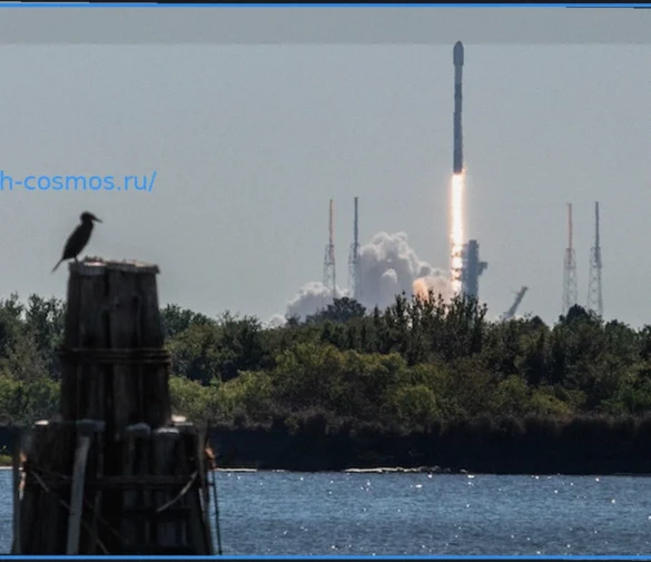 SpaceX запустила 29 спутников Starlink на ракете Falcon 9 с мыса Канаверал